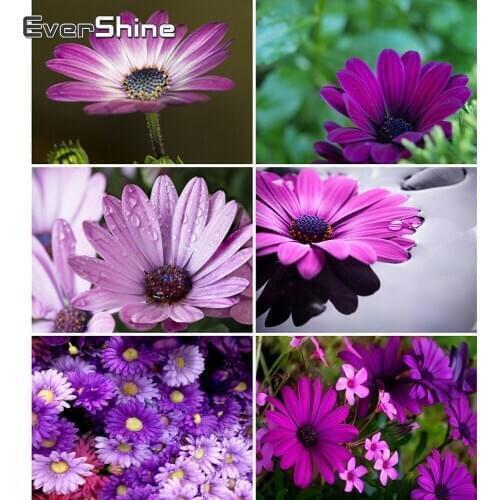 Evershine Diamond Painting Daisy Beaded Diamond Mosaic Flower Cross Stitch Kit Full Set Diamond Embroidery Full Square Home Art