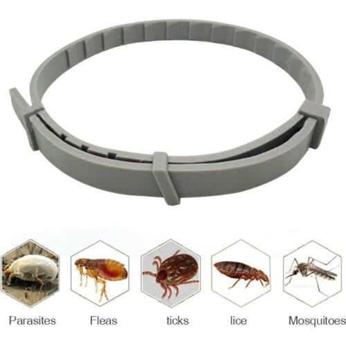 Tick Collar for Dog Cat Flea Tick Collar Anti Flea Collar Natural & Safe Efficiently Repell Locust Lice of Pets for Suppliers
