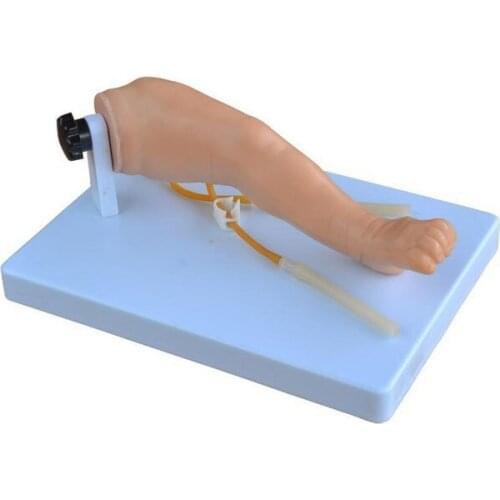 Medical Science Subject Simulator Series Advanced Infant Venipuncture Leg for Teaching