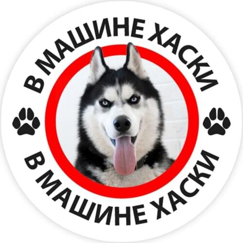 B0227# Various Sizes Self-adhesive PVC Decal Husky in the Car V2 Car Sticker Waterproof Auto Decors on Bumper Rear Window