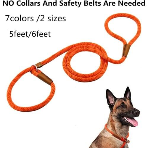 6Feet Dog Leash NO Collars And Safety Belts Are Needed Dog Slip Leash Rope Training Leads for Small Medium Large Dogs