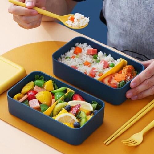 Bento Box Double Layers Removable Grid PP Salad Fruit Food Storage Box Sushi Food Container with Handle Kids Adults Lunch Box