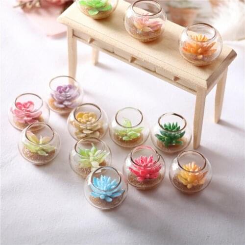 Dollhouse Mini Succulents Aquarium Potted Plant Random Color Prop Toy Ornament
