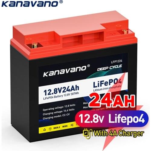 12v 24Ah rechargeable Lifepo4 Battery Pack For Solar Energy Storage Systems Deep Cycle Battery+4A EU/US Charger