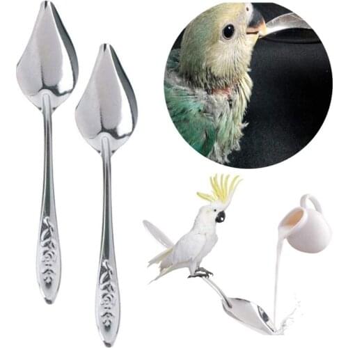 Pet Bird Feeding Spoon Stainless Steel Parrot Milk Spoons Hand Rearing Spoon for Birds Rabbit Hamster Small Animal