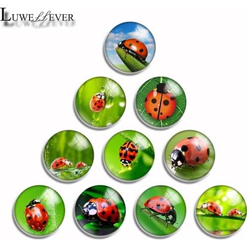 12mm 10mm 16mm 20mm 25mm 30mm 510 Cute Ladybug Mix Round Glass Cabochon Jewelry Finding 18mm Snap Button Charm Bracelet