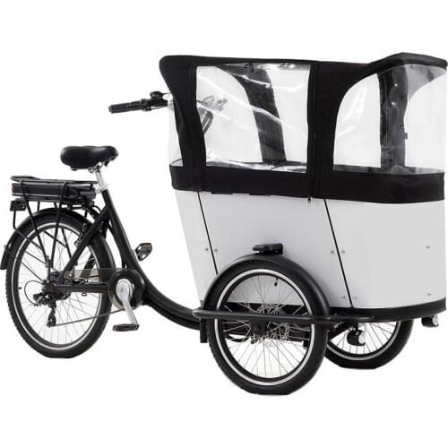 Electric Pedal 3 Wheels Cargo Bike with 250W Rear Motor for Carrying Kids or Pets