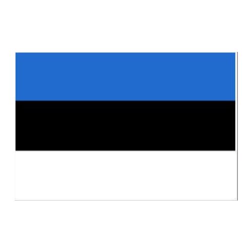 3x5ft Flag of Estonia with custom any logo on banner