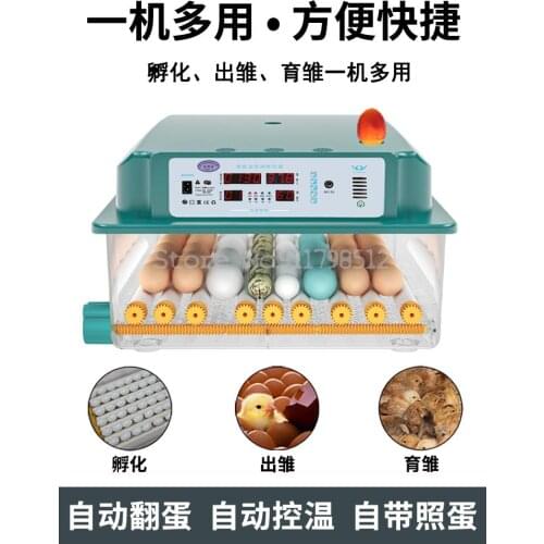 Incubator, Incubator, Household Automatic Incubator, Small Intelligent Incubator, Chicken And Duck Incubator