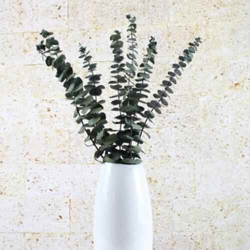 Natural Preserved Eucalyptus Stem Leaves Bunch for Home Decor