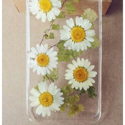 30pcs Dyed white crystal chrysanthemum large plant specimen Daisy embossed epoxy dried flower pressed flower DIY handmade