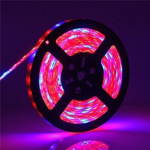 Full Spectrum LED Grow light 5M LED Strip light 5050 LED Flower Plant Phyto Growth lamps For Aquarium Greenhouse Plant Growing