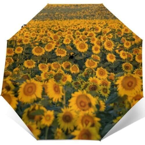 Wind Resistant Fully-Automatic Umbrella Sunflowers Field Rain 3 Folding Parasol Travel Car Umbrella
