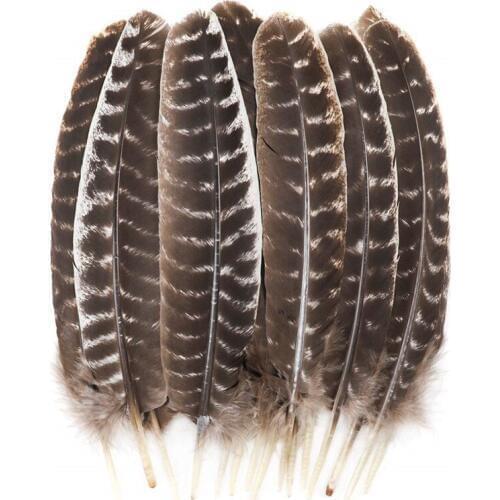 High Quality Real natural Eagle bird feathers 10-200pcs/lot 25-30cm Eagle feathers for crafts diy jewelry decoration plumes etc