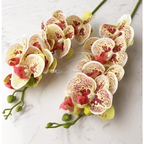 Fake Butterfly Orchid 73cm/20.74" Length White/Green/Purple Artificial Real Touch Phalaenopsis Home Decoration Wedding Flower