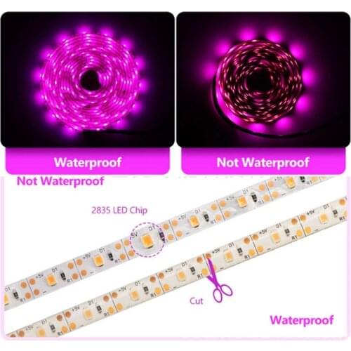 LED Full Spectrum Phyto Lamp USB 5V Grow Light Strip 0.5m 1m 2m 3m 2835 SMD Plants Flowers LED Greenhouse Cultivo Hydroponic