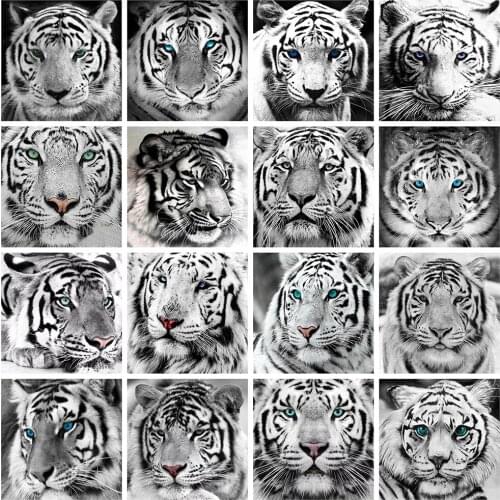 5D DIY Square/Round Diamond Painting Tiger Cross Stitch Mosaic Diamond Embroidery Black and White Animals Rhinestone Crafts Kit