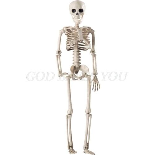 36cm Lifelike Human Bones Halloween Skull Skeleton Decoration Anatomical Anatomy Model Scary Props Drop Shipping
