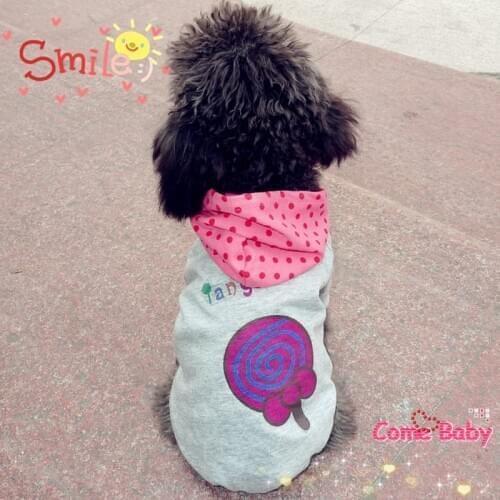 SweetDog Travel Vests
