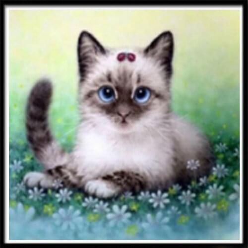 5D DIY diamante pintura círculo completo Animal mosaico gato punto de cruz mosaico decoración del hogar etiqueta de la pared