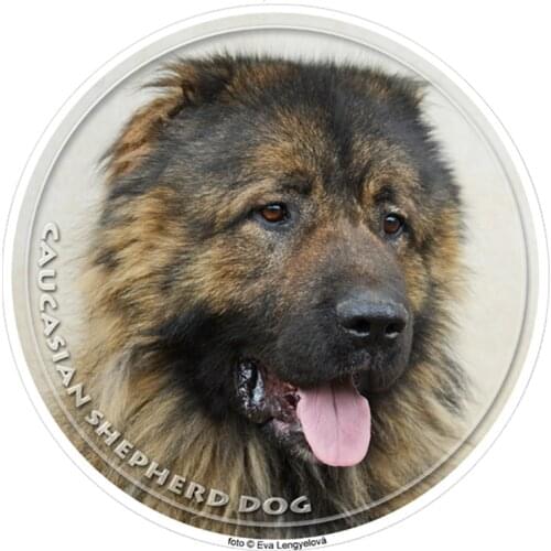 S40410# Various Sizes PVC Decal Caucasian Shepherd Animal Car Sticker For Bumper Rear Window Laptop Refrigerator Toilet