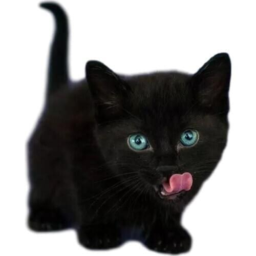 Three Ratels Halloween Wall sticker Witches on broomsticks for Halloween Home Decoration outsidedoor sticker window decoration