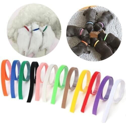12pcs/lot Dogs Collars Puppy Identification Collars Adjustable Nylon Puppy Kitten Pet Id Tag Collar Necklace Pet Accessories