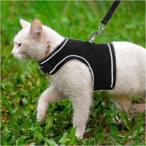 Salincax Collars For Cats