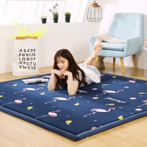 Thick 2CM Coral Fleece Velvet Mat Bedroom Carpet Baby Play Mat Living Room Bed Rug Large Size Kid Mat Rug
