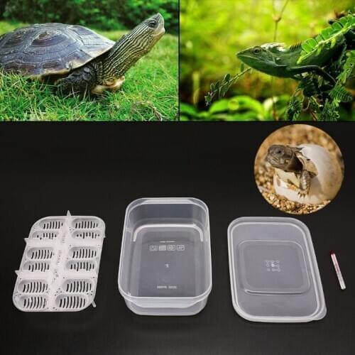 Reptile Egg Incubator Tray With Thermometer Incubating Snake Egg Incubation Tool B2QB