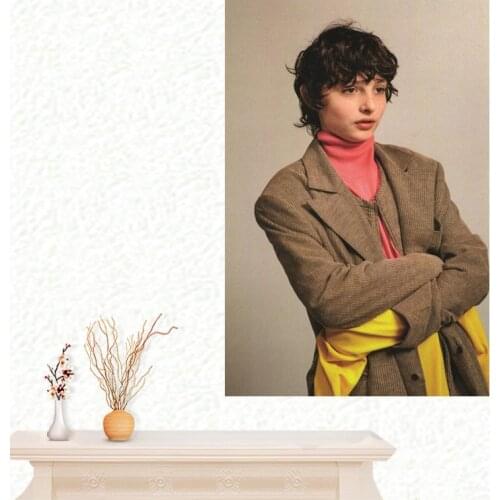 Finn Wolfhard Style Posters Wall Art Decor Picture Modern Home Decor Room Decoration Quality Canvas Poster Painting