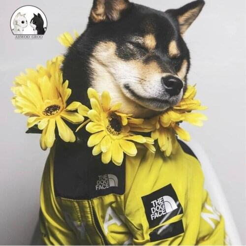 Pet Dog Raincoat Jacket Clothes Windproof Cat Dog Jacket Fashion Waterproof Reflective Pet Clothing Small Pets Large Pets Coat