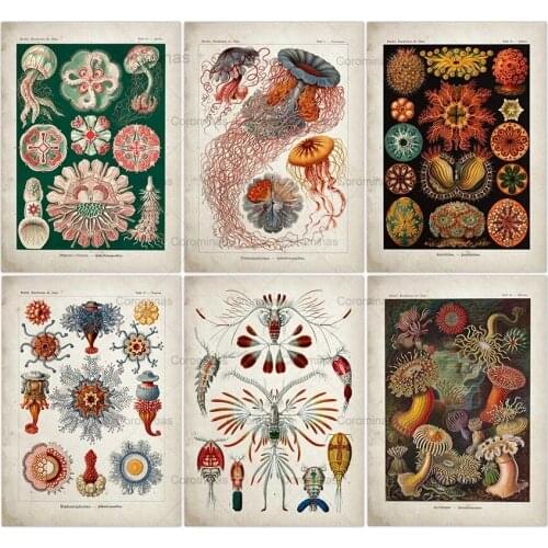 Marine Jellyfish Seaweed Canvas Painting Vintage Poster Corals Green Algae Sea Anemones Starfish Wall Art Kraft Paper Decoration