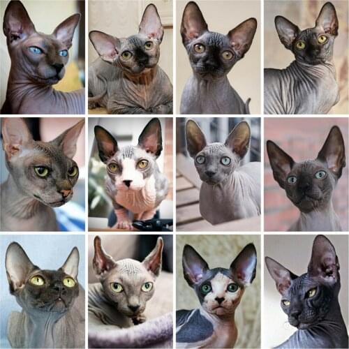 5D Diamond Beads Embroidery Complete Sphinx Cat Diamond Painting Rhinestones Full Square Mosaic Animal Home Decor