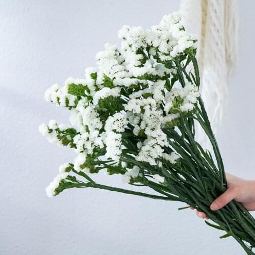 Dried Forget Me Not Lover Grass Natural Fresh Preserved Flowers Bouquet Gift Party Decoration Accessories Home Office Room Decor