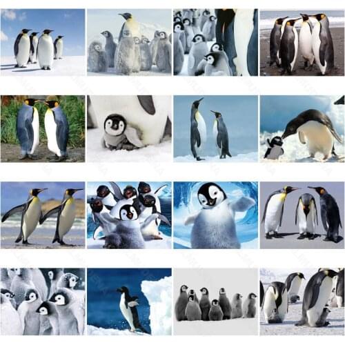 Diy Diamond Painting Penguin Cub 2021 New Full Diamond Flower Handmade Dot Inlaid Diamond Bedroom Living Room Sticker Wall