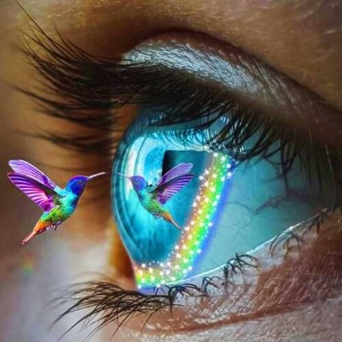 Diamond Painting Full Square/Round Drill Eye Hummingbird Pattern 5D Daimond Embroidery Cross Stitch Kit Mosaic Rhinestone Decor