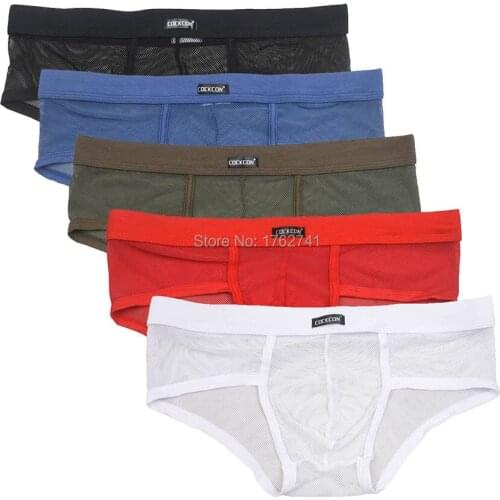 Bulge Underpants Men Underwear Sexy Lingerie Transparent Net Mesh Bikini Briefs Underwear Intimates Fashion Low Waist Brief