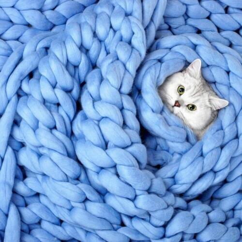 Pet Dog Bed Cushion Dog Beds For Labrador Golden retriever Summer Dog Mat House For Dogs Pet Supplies 3 Sizes Dog Cat Houses