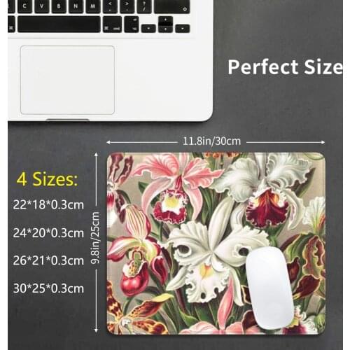 Orchids Painting By Ernst Haeckel Mouse Pad DIY Print German Zoologist Zoo Animal Animals Ernst Haeckel