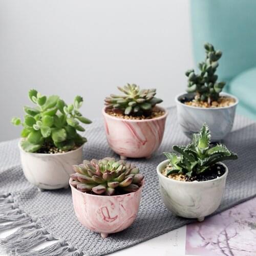 Marbling More Meat Flower Pot Succulents Fleshy Cactus Ceramic Flowerpot Small Home/Garden/Office Decoration Pots Flower Vase