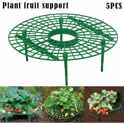 Strawberry Stand Planting Rack Fruit Support Plant Climbing Vine Props Flower Pillar Gardening Bracket Gardening Stand