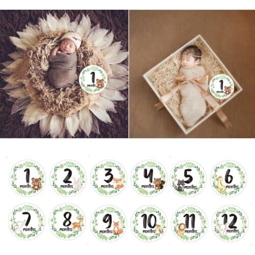 12 Pcs/Set Newborn Milestone Memorial Month Stickers Floral Baby Monthly Stickers Photography Commemorative Card Number Photo