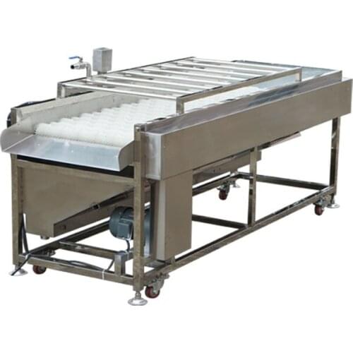 2021 Automatic plum cherry peach berry washer onion carrot chili pepper vegetable Brush roller washing machine CFR BY SEA