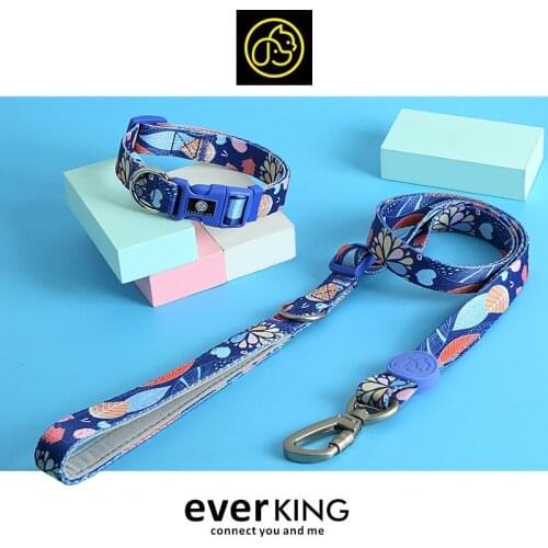 Dog Harness and Leash Set Personalised Nylon Collar Accessories for Small Medium Large Big Dogs Pit Bull Product Supplies