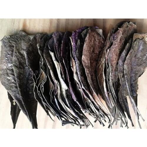 Natural Fighting Fish Marquise Leaf Aquarium Turtle Shrimp Tank Reduce Acid Aquarium Ph Value Improve Water Quality 10pcs