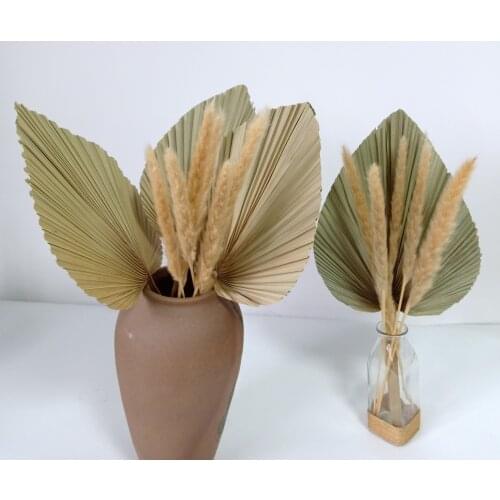 4 Pieces Dried Nautal Cut Spear Palm Fronds,Dry Sun Palm Leaves For Pampas Grass Wedding Decor