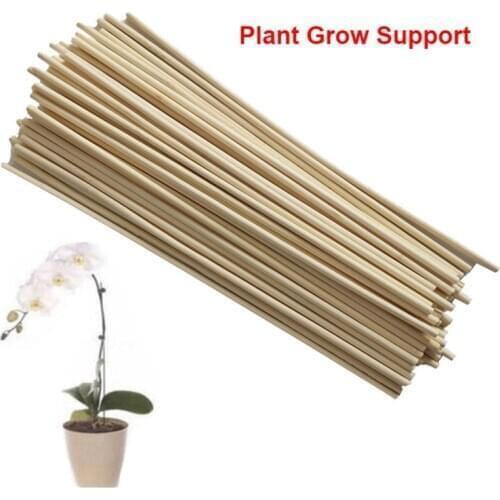 50pcs Wooden Plant Grow Support Bamboo Plant Sticks for Flower Stick Cane stands garden bonsai tool