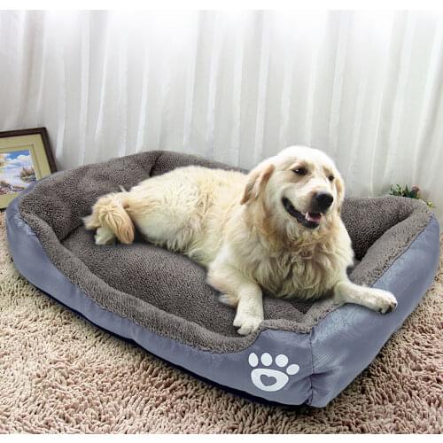 Первый питомец BPEDT China At AliExpress