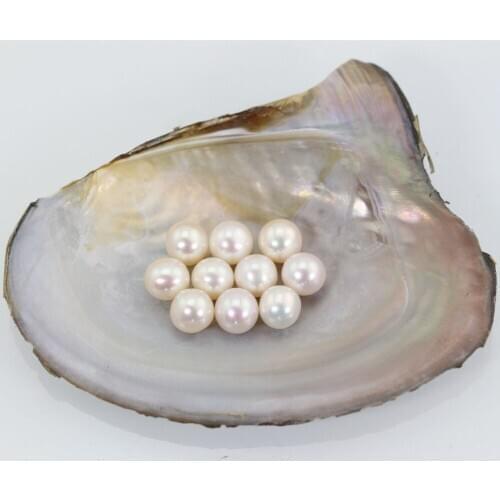 Genuine Akoya Round Pearls 28 Colors Natural Loose Pearl Beads 7-8MM Undrilled Pearls Natural white Jewelry Making Beads LR025